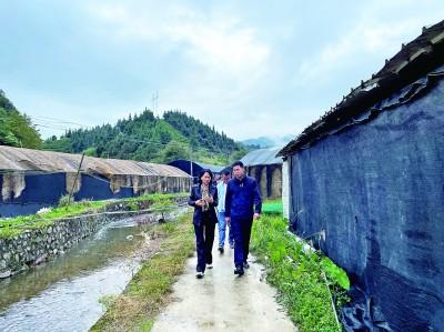 民有所呼,我有所应